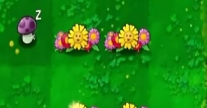 植物大战僵尸生态版_https://m.876g.com_策略卡牌_第15张